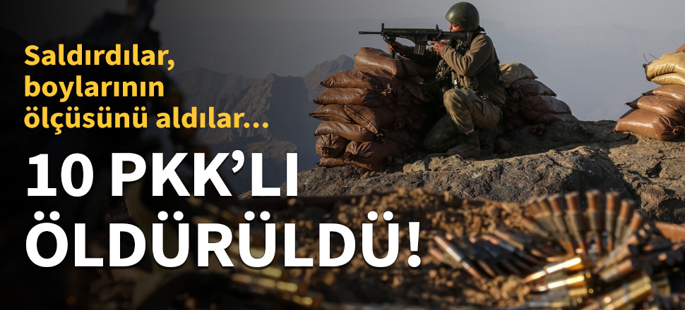 Saldırdılar, boylarının ölçüsünü aldılar!