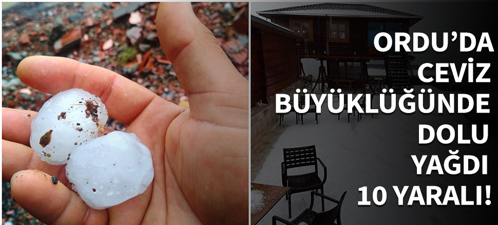 Ordu'da dolu 10 kişiyi yaraladı...