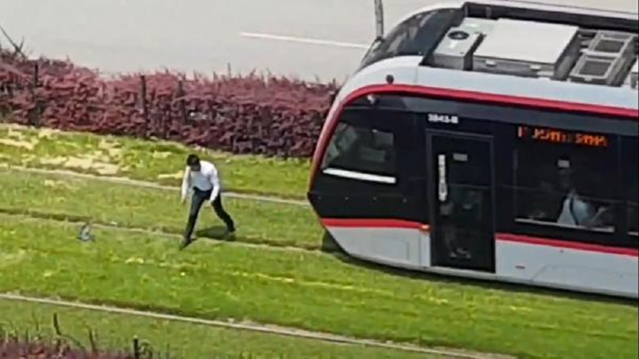 Tramvayı durdurdu, güvercini kurtardı!