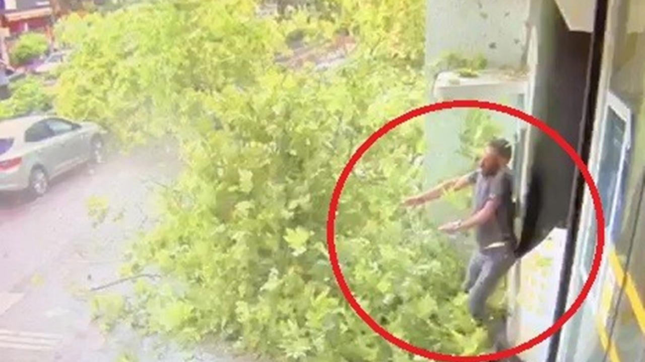 Asırlık çınar böyle devrildi...