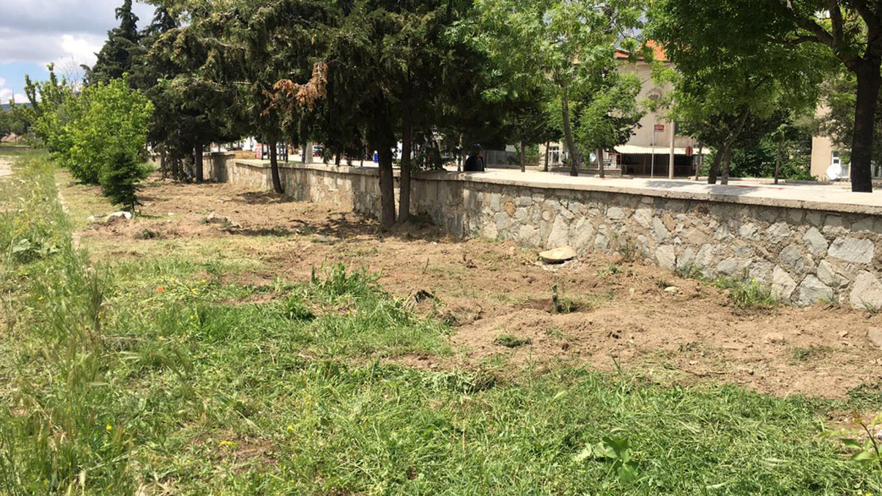 Isparta'daki mezarlıkta dehşete düşüren olay!