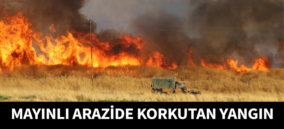 Mayınlı arazide korkutan yangın...