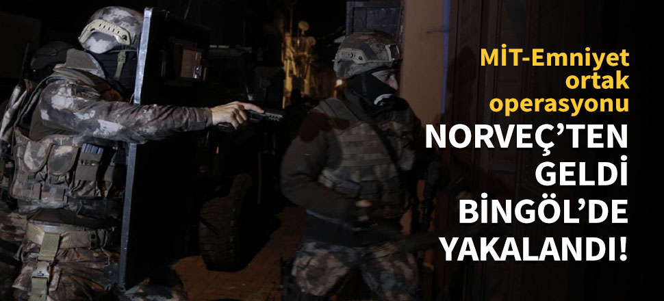 Norveç'ten geldi, Bingöl'de yakalandı!