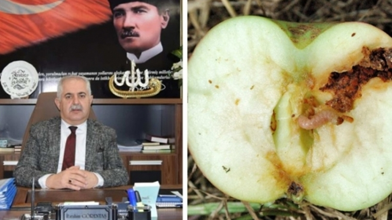 Van'da İl Müdürü İbrahim Görentaş’tan elma üreticilerine uyarı