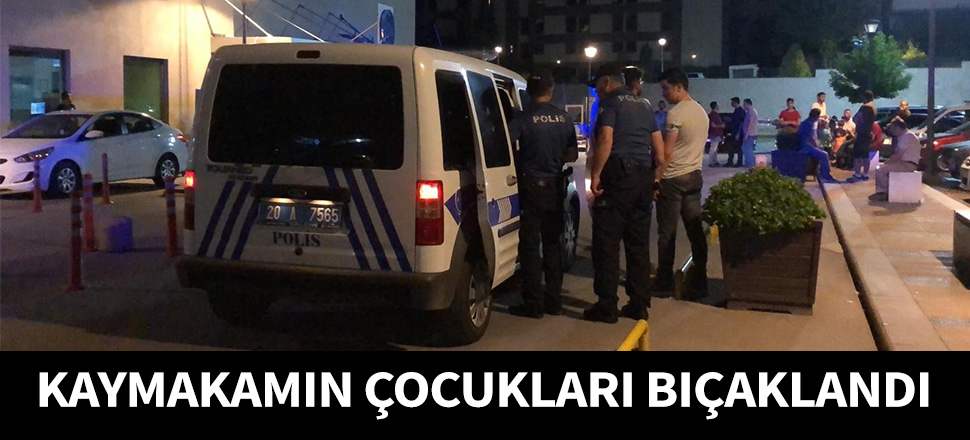 Kaymakamın çocukları kavgada bıçaklandı...