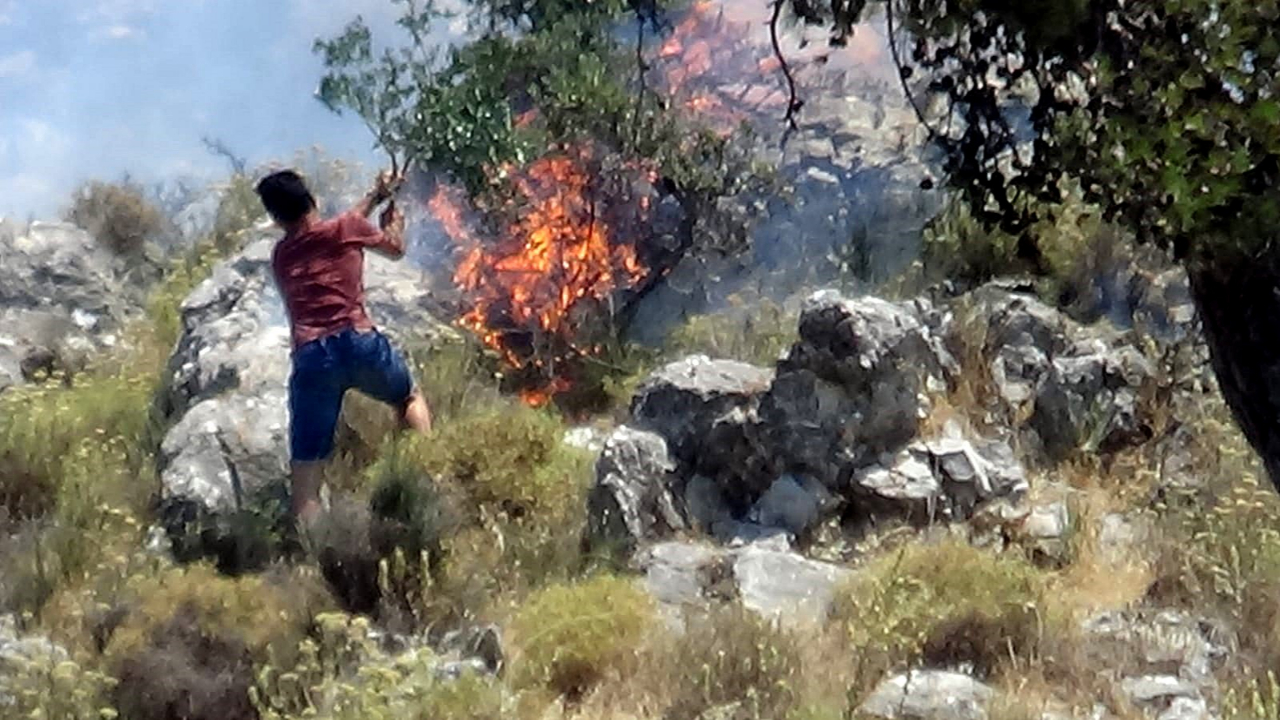Balıkesir'de korkutan yangın!