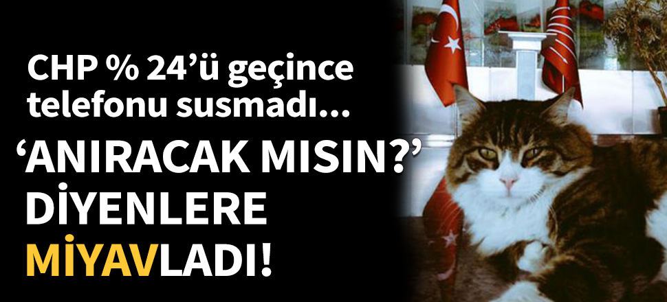 CHP yüzde 24’ü geçince telefonu susmadı...
