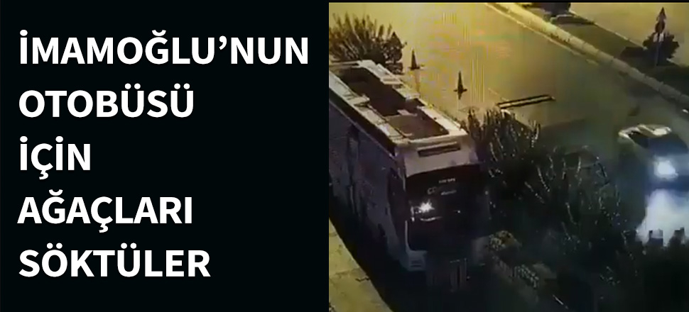 İmamoğlu'nun otobüsü için ağaçları söktüler...