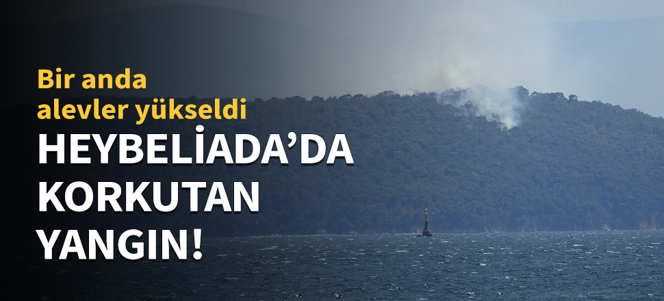 Heybeliada'da korkutan yangın!