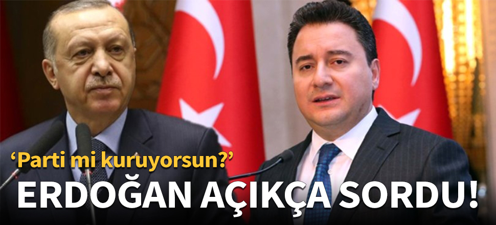 Erdoğan, Babacan'a açıkça sordu!