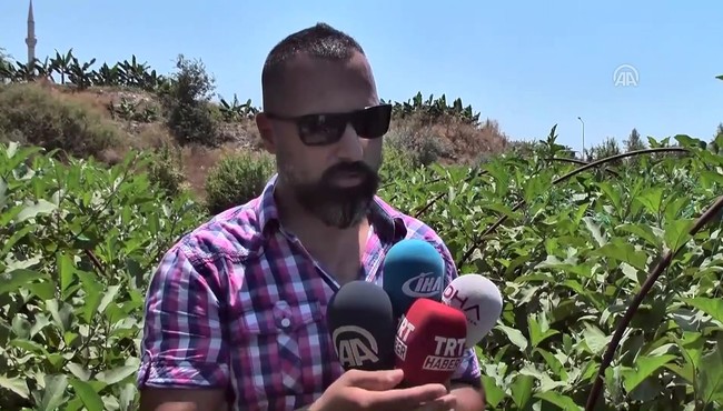 '6 patlıcan topladım, parasını bıraktım, helal edin'