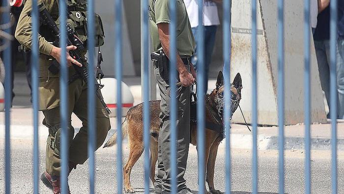 İsrail'den 14 yaşındaki Filistinli çocuğa 12 yıl hapis
