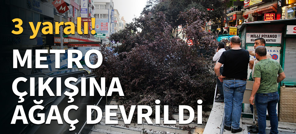 Ankara'da metro çıkışına ağaç devrildi...
