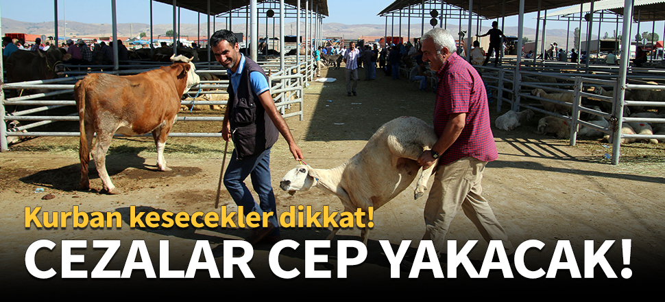 Cezalar cep yakacak
