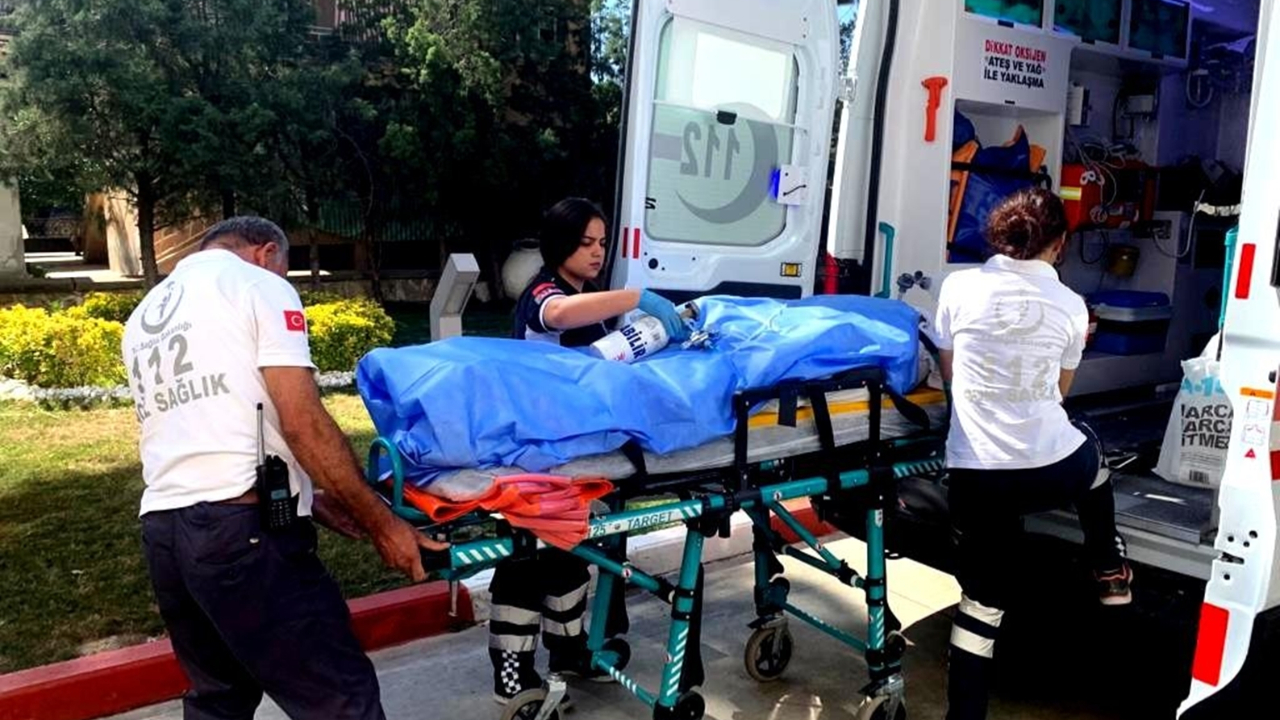 Beslediği arılar öldürdü