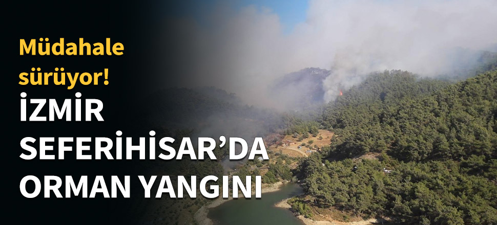 İzmir Seferihisar'da orman yangını...