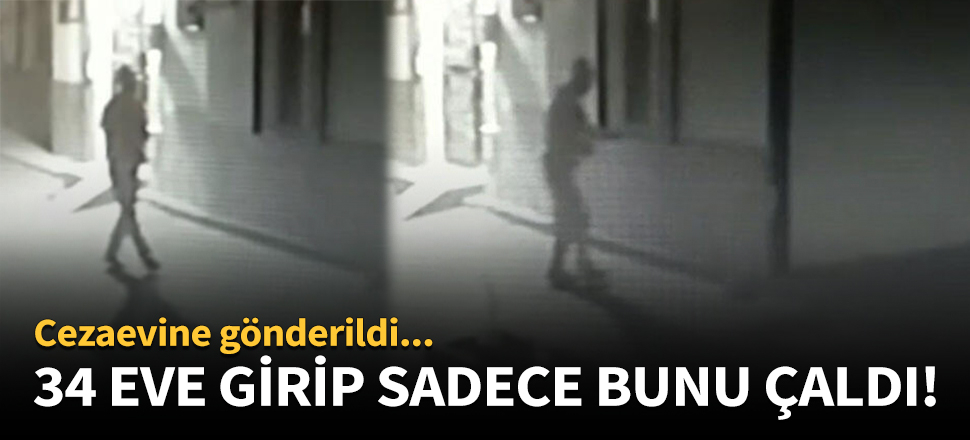 34 eve girip sadece bunu çaldı!