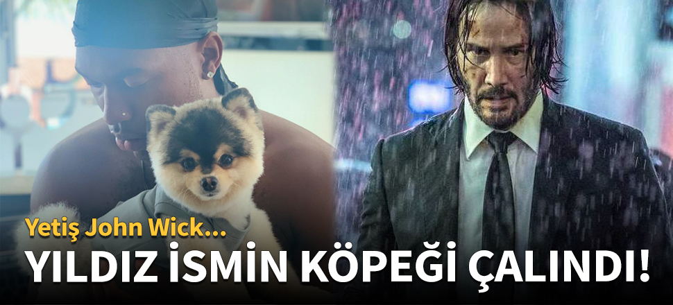 Yıldız futbolcu yardım istiyor: Köpeğimi çaldılar!