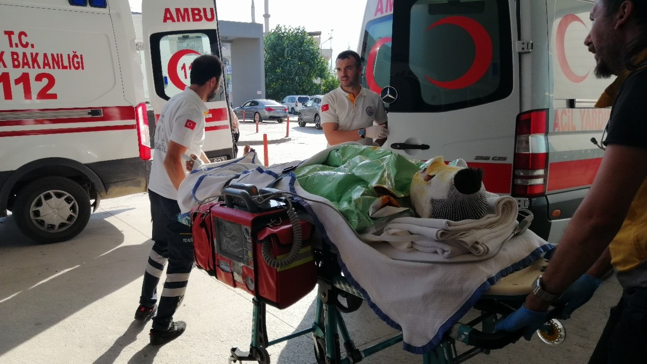 Alev alan elektrik kablosu üzerine düştü...