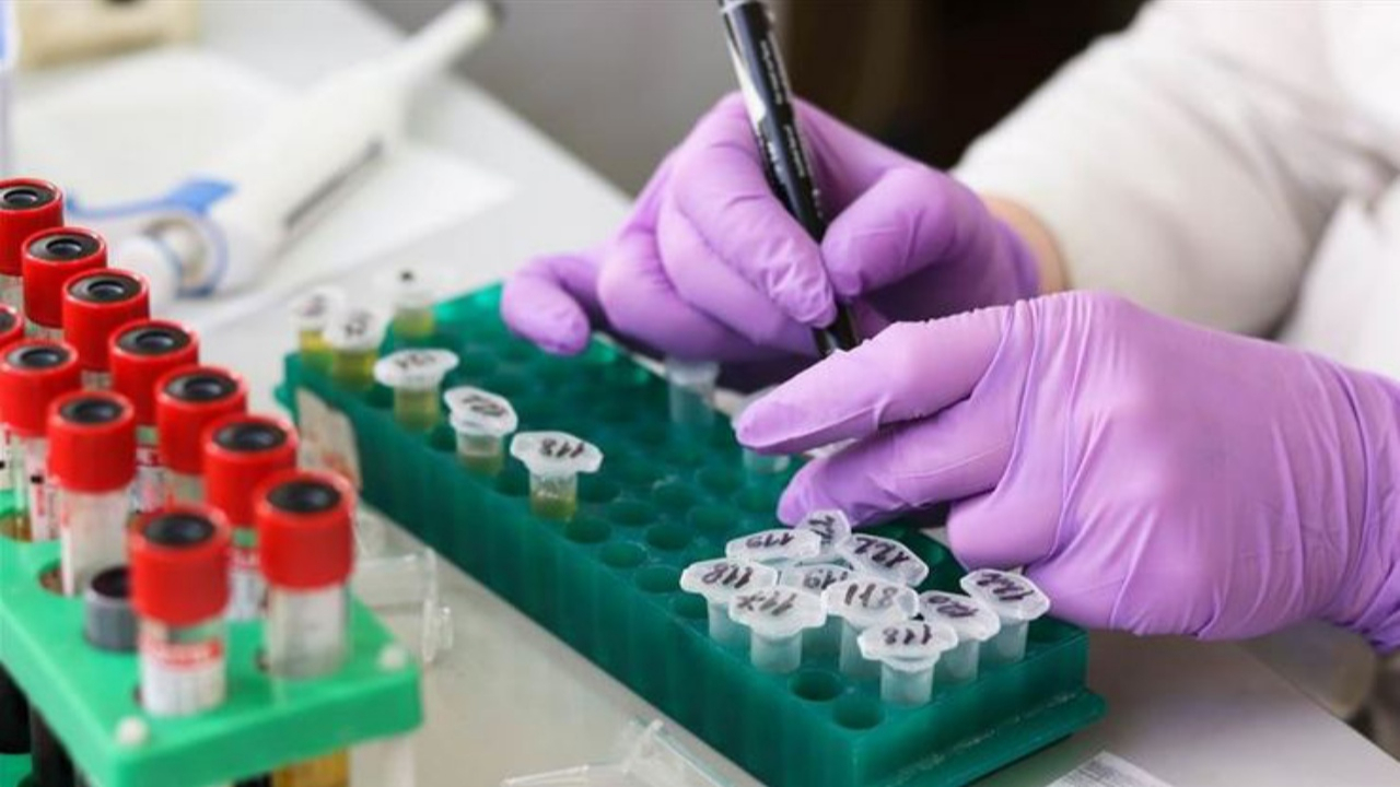 Alzheimeri tarihe gömecek molekül keşfedildi!