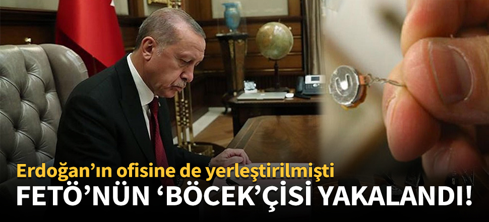 FETÖ'nün 'böcek'çisi yakalandı!