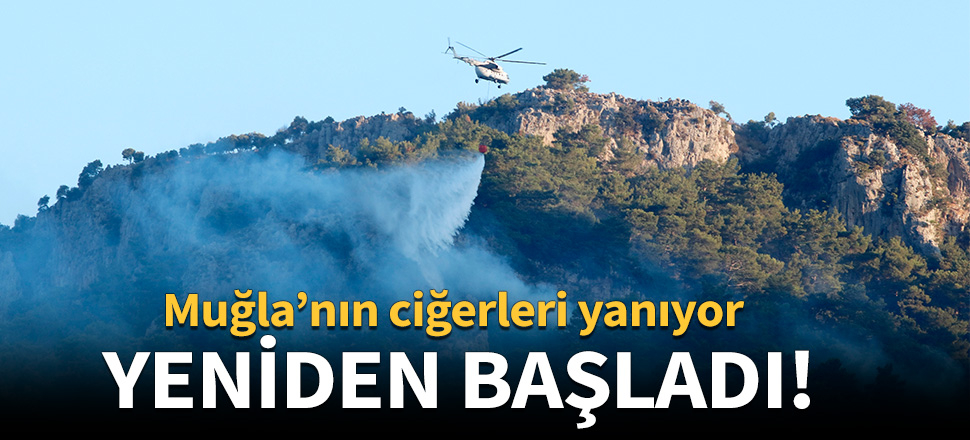 Müdahale yeniden başladı!