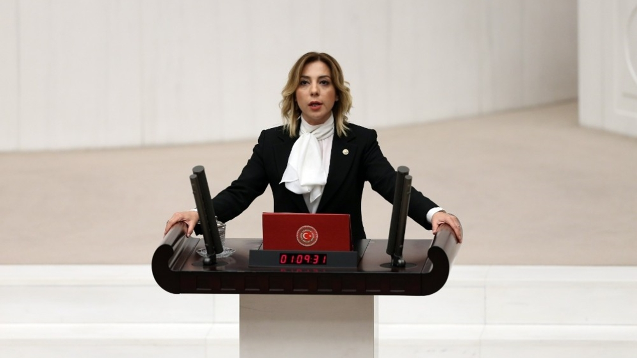 Muğla'da Yelda Erol Gökcan: "Yanan alanların imara açılması söz konusu değil"
