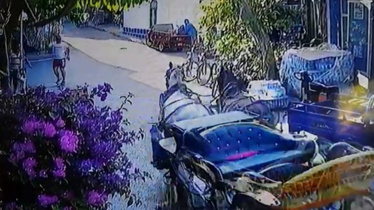 Faytona koşulan atlar yaralandı