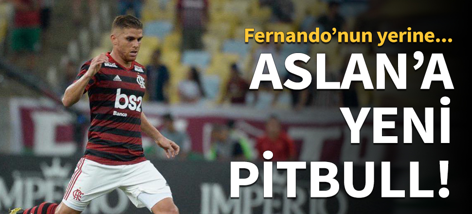 Galatasaray'ın yeni 'Pitbull'u Cuellar!
