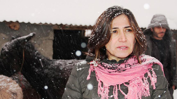 Varto Belediye Başkanı Sebite Ekinci tutuklandı