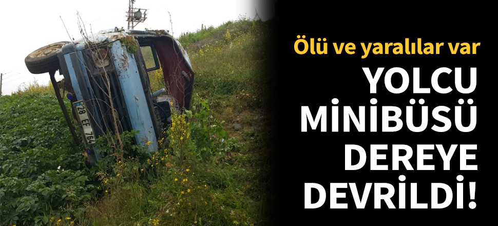 Yolcu minibüsü dereye devrildi!
