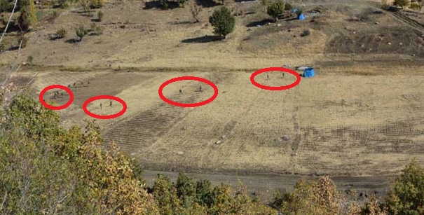 Sıcak gelişme.. Tunceli ve Şırnak'ta PKK'ya süpürme harekatı