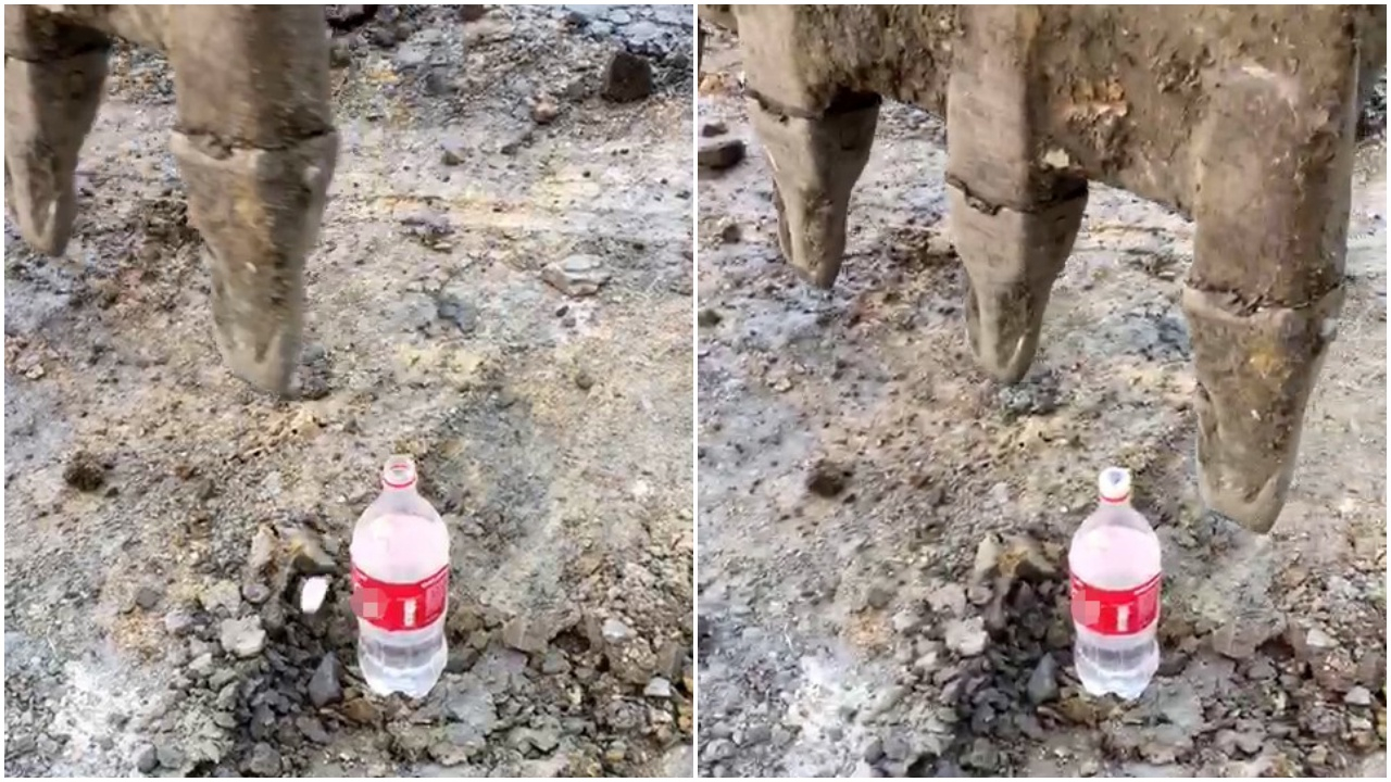 Kepçe operatörü de "Bottle Cap Challenge" akımına uydu!