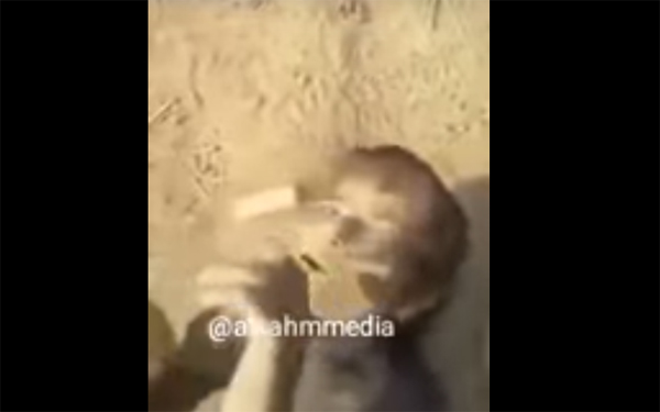 Irak ordusu bir çocuğu vahşice katletti