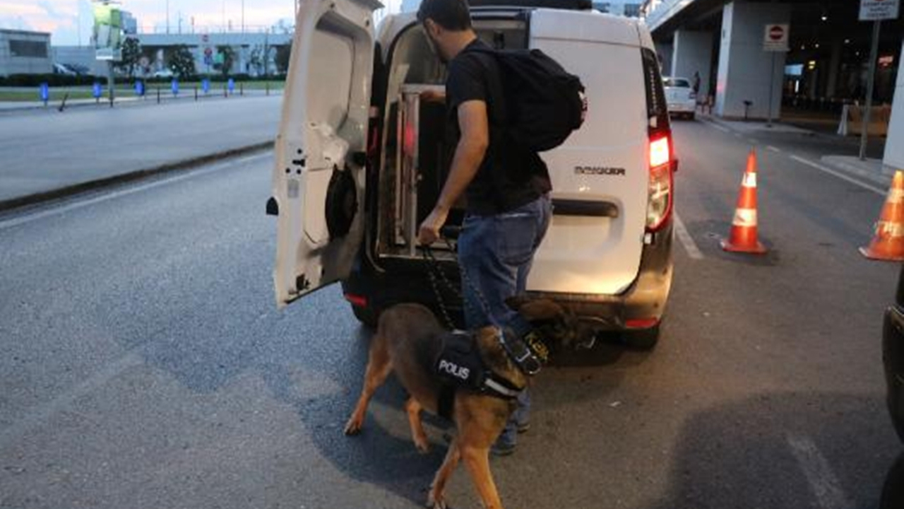 Narkotik köpeklerine şark görevi...