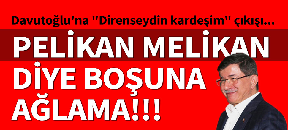 Davutoğlu'na "Direnseydin kardeşim" çıkışı...