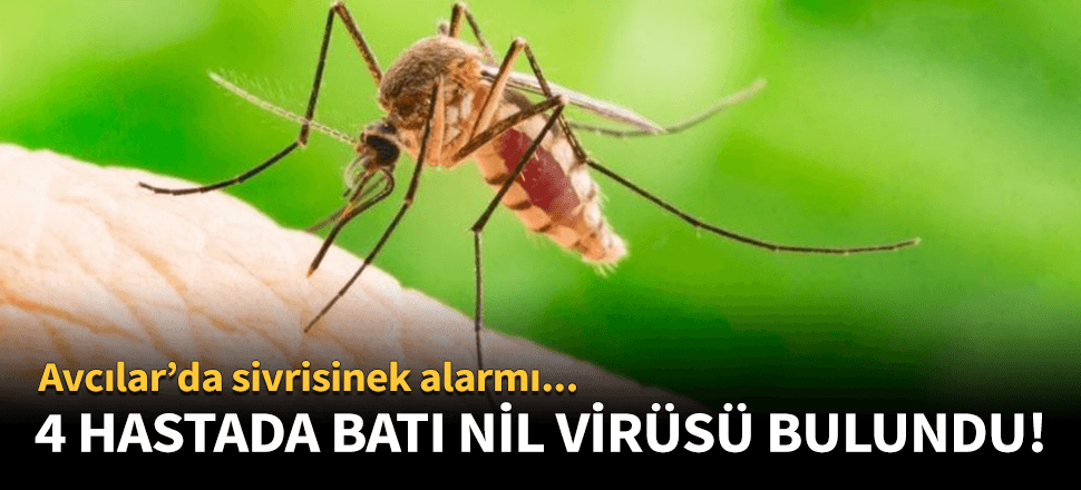 Sağlık Bakanlığı 4 hastada BNV bulunduğunu açıkladı!