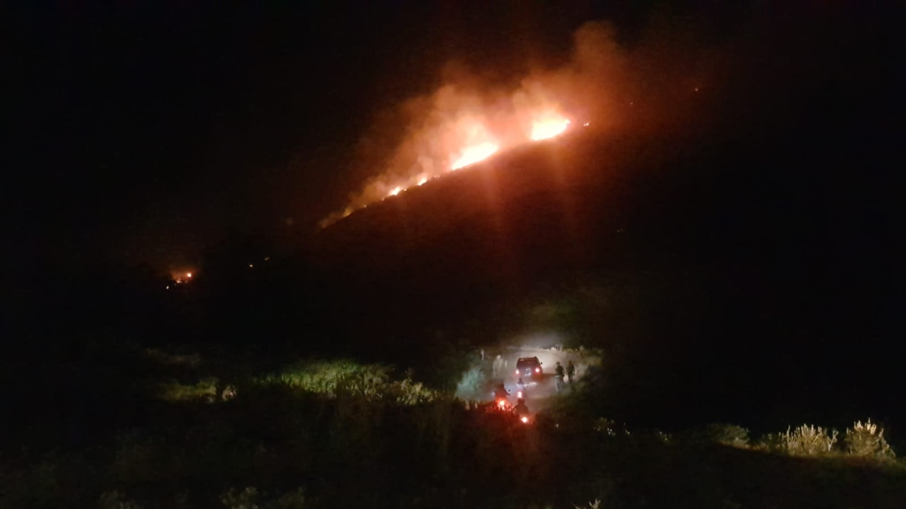 Aydın'daki yangın ormana doğru ilerliyor...