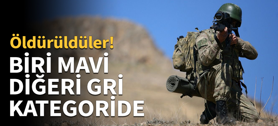 Biri mavi, diğeri gri kategoride!
