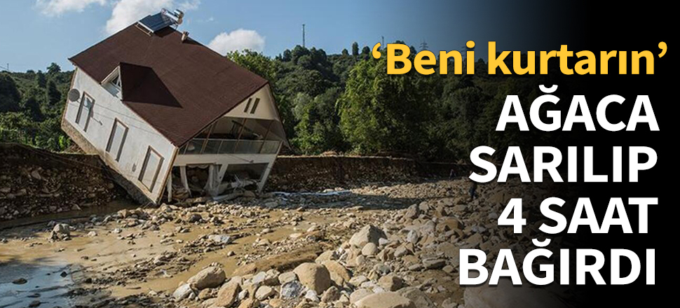 Ağaca sarılıp 4 saat boyunca bağırdı!