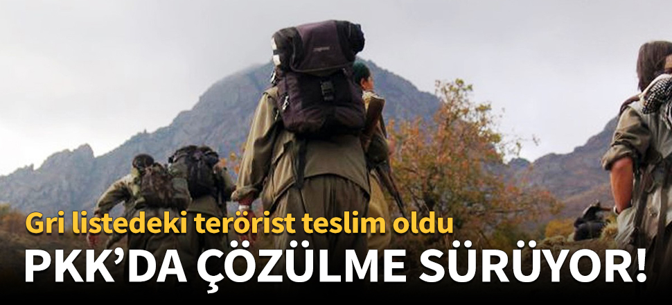 Gri listedeki terörist teslim oldu!