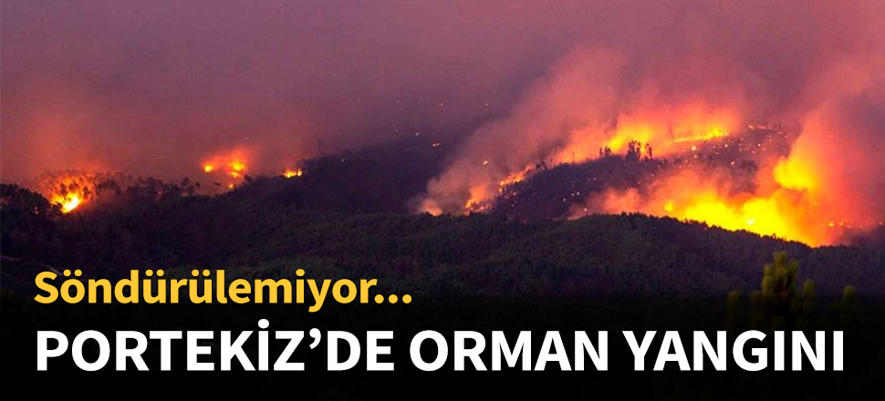 Portekiz'de orman yangını devam ediyor...