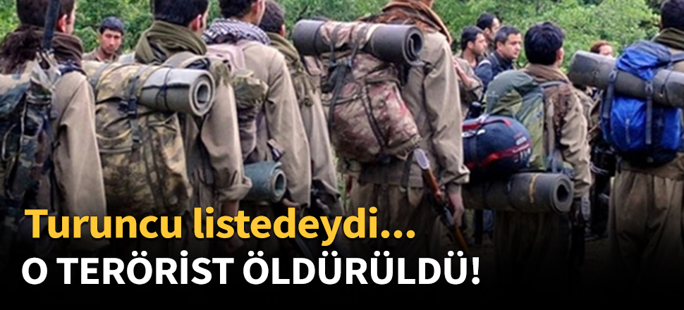 O terörist öldürüldü!