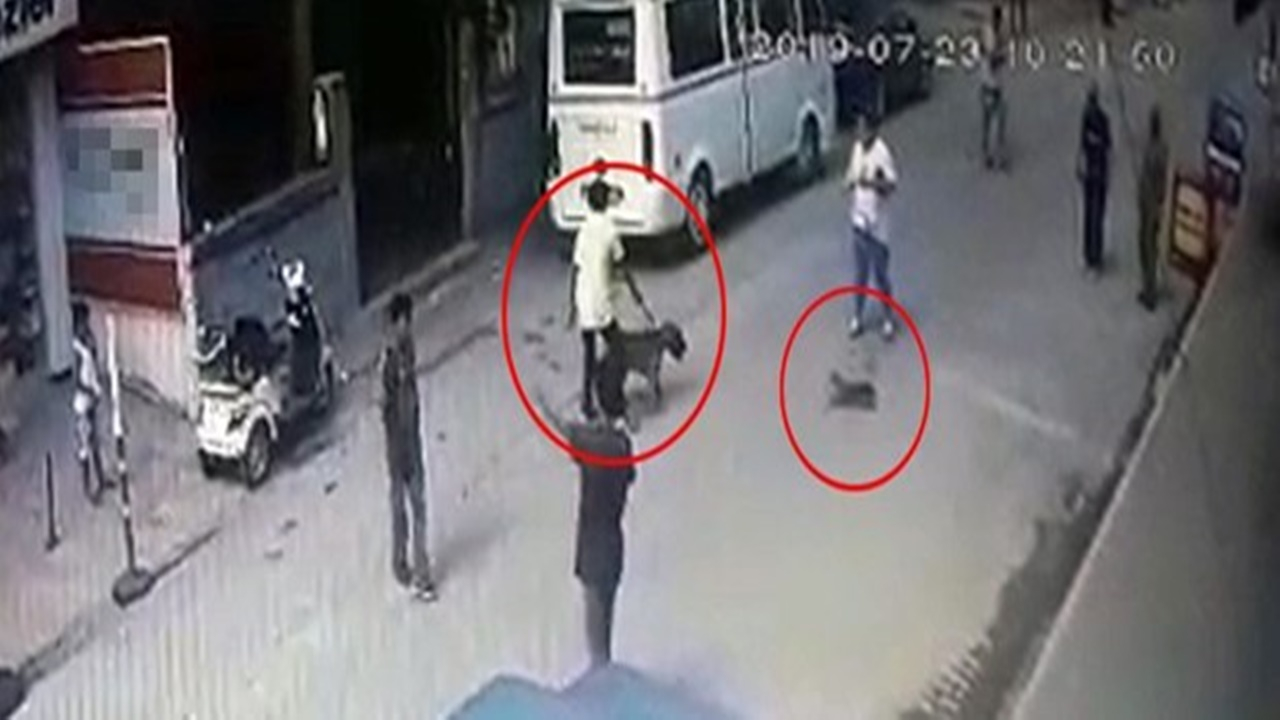 Adana’daki pitbull dehşetine 4 gözaltı