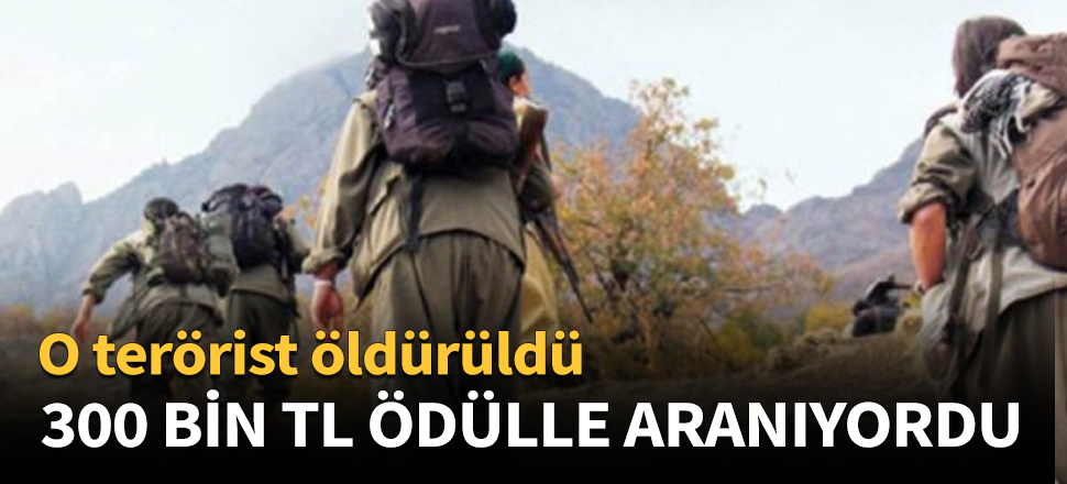 300 bin tl ödülle aranan terörist öldürüldü