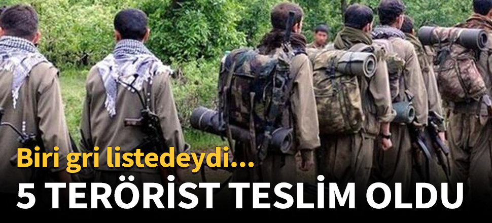 5 terörist teslim oldu