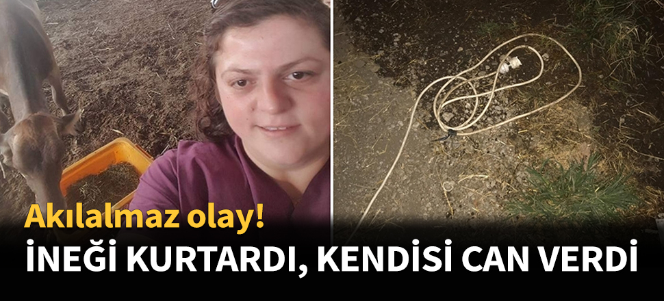 İneği kurtardı, kendisi can verdi...