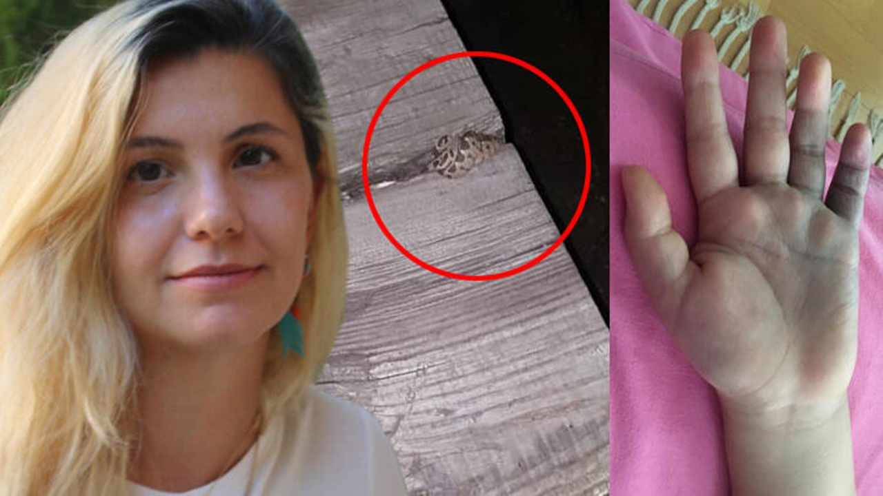 9 yaşındaki çocuğu engerek yılanı soktu!