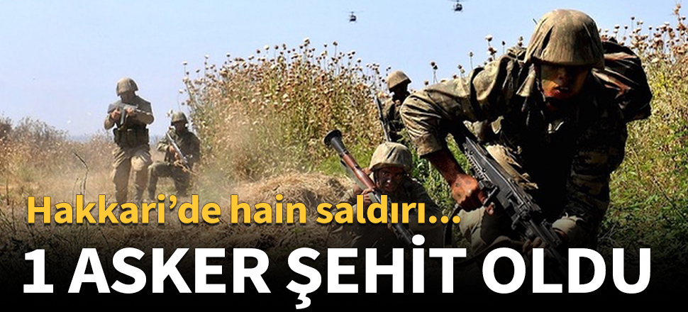 Hakkari'de hain saldırı