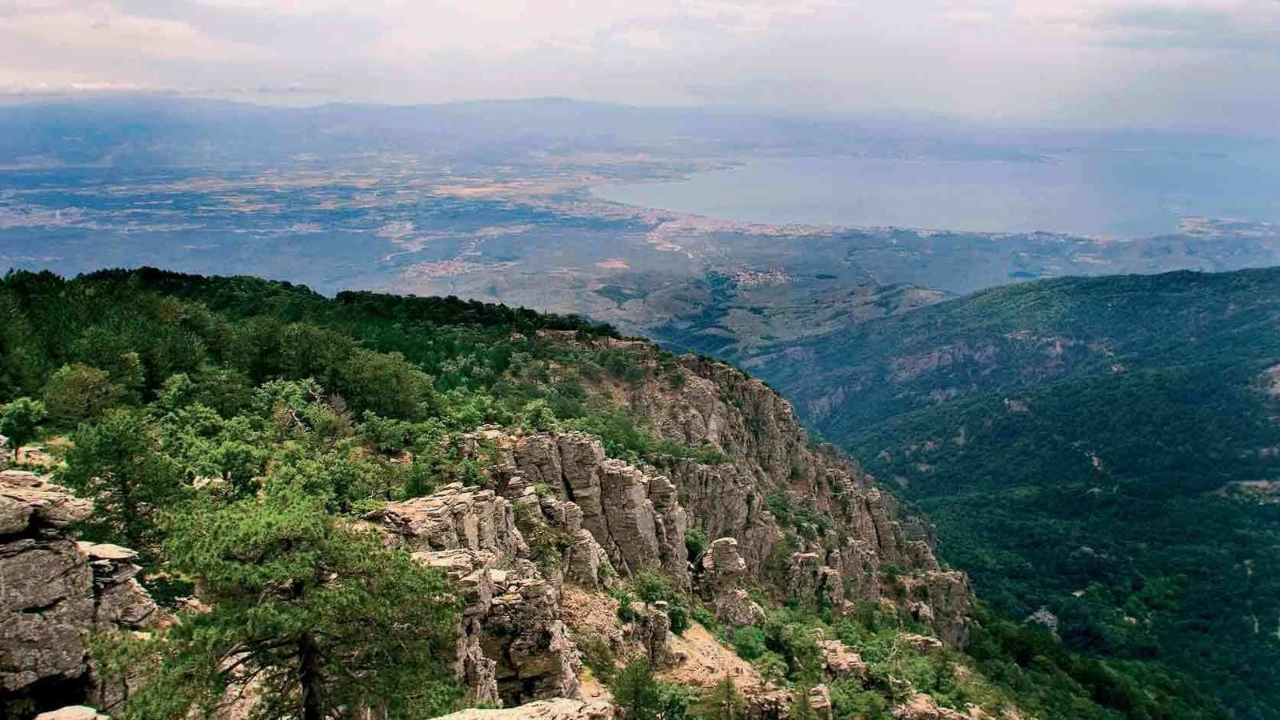 Bakanlıktan 'Kazdağları' iddialarına yalanlama!